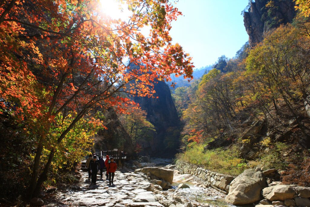 Seoraksan Mountain autumn foliage