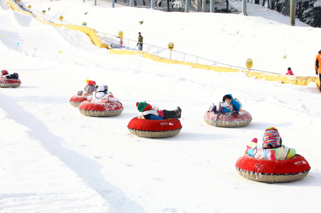 korea winter Snow Sledding