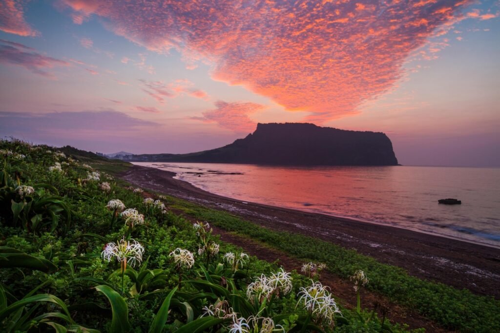 Seoul to Jeju Guide: Flights, Ferries, and Current Route Updates