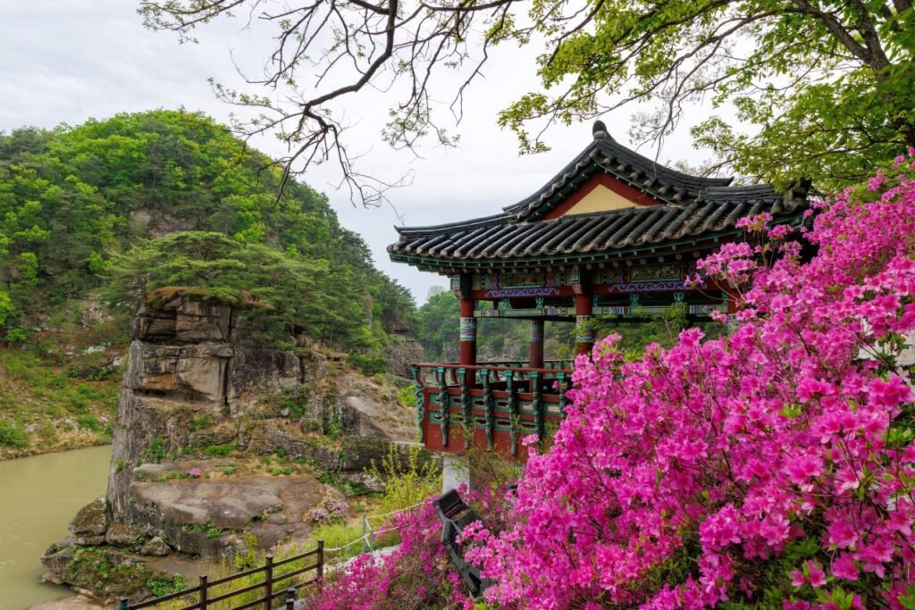 korea season - spring festival