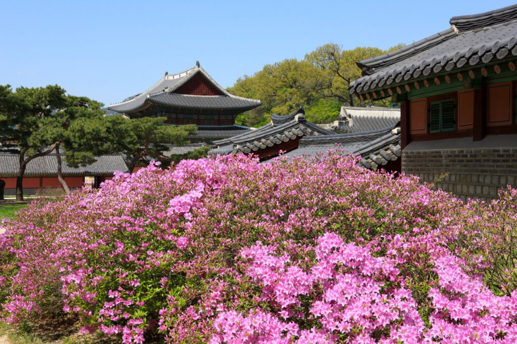 Changdeokgung Palace