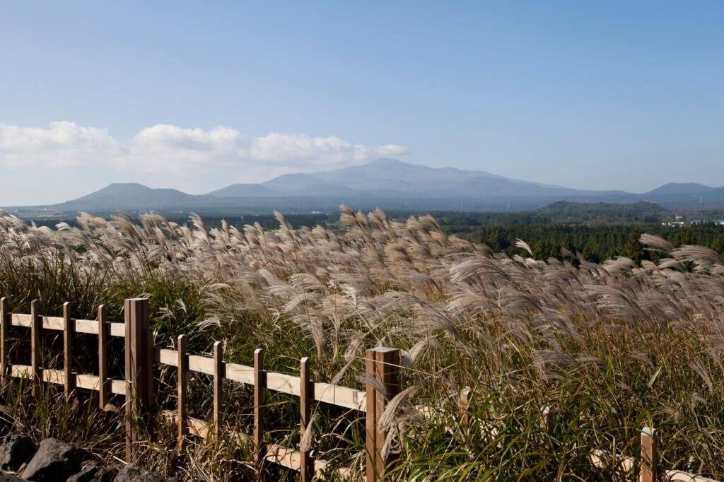 Jeju’s Breathtaking Blend: Crater Views, Kim Young-gap’s Art, and Sunrise Peaks