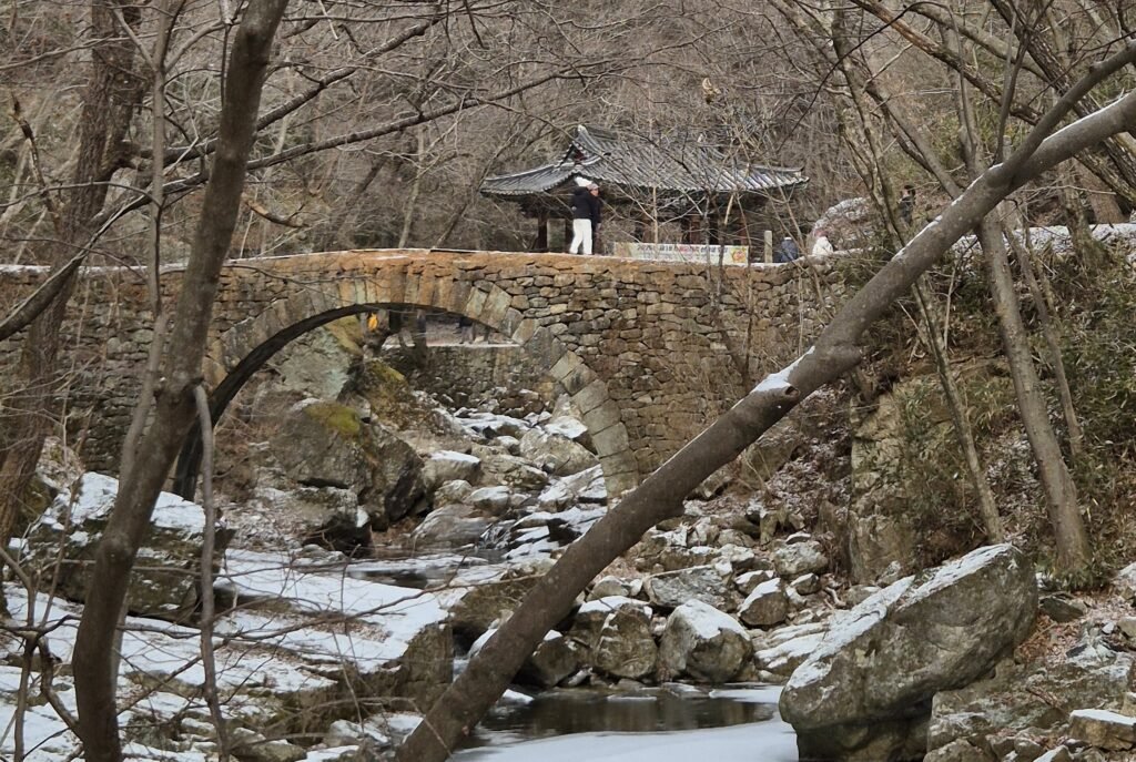 [Day 2] Suncheon : Seonamsa Temple & Naganeupseong Living Village