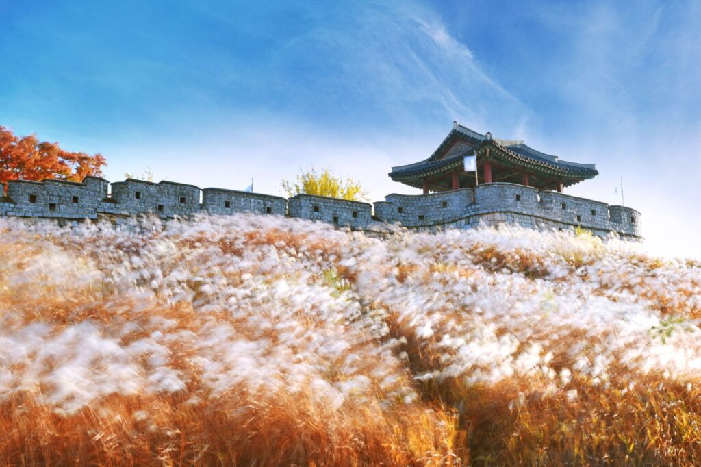 Suwon's Top K-Drama Filming Spots