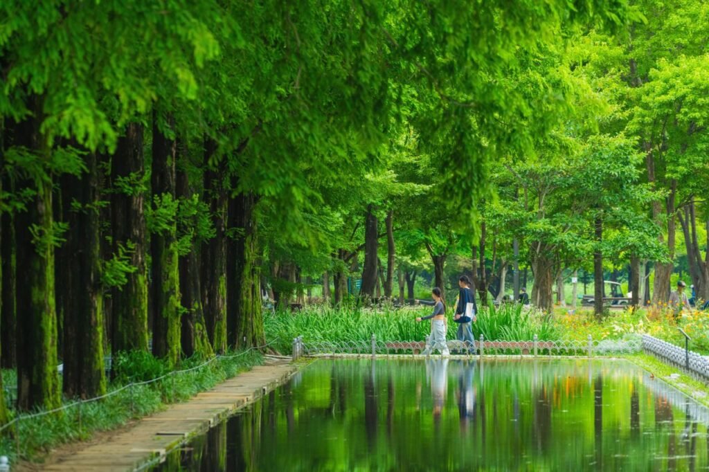 Seoul Forest