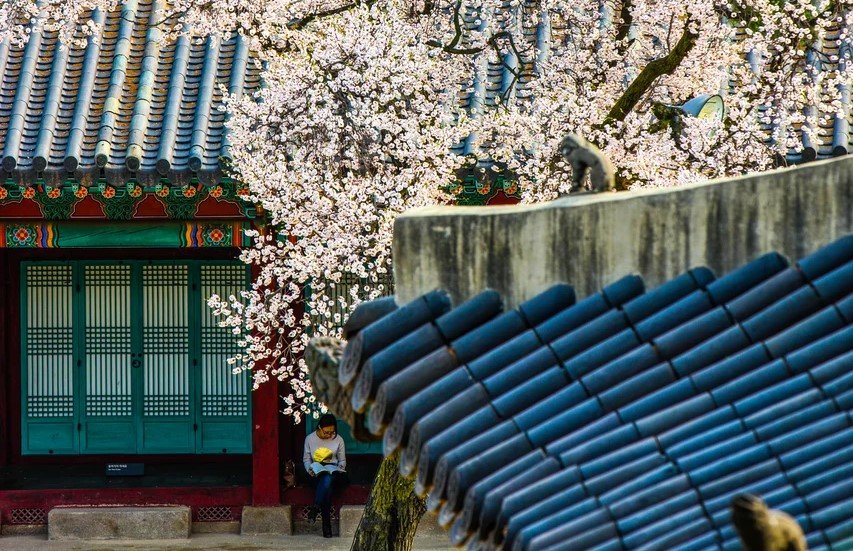 Changgyeonggung Palace