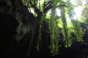 Manjanggul Lava Tube