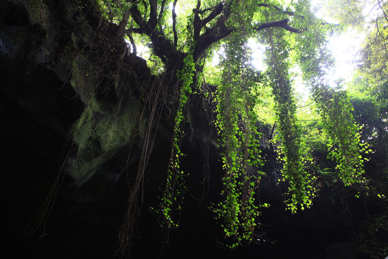 Manjanggul Lava Tube