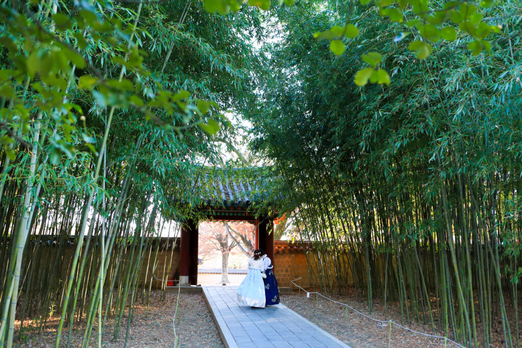 2026 Korean Regional Travel: Escape the Crowds