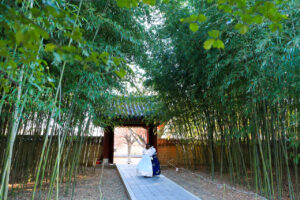 2026 Korean Regional Travel: Escape the Crowds