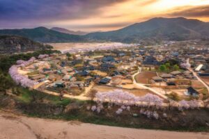 Andong Hahoe Folk Village: The True Soul of Joseon