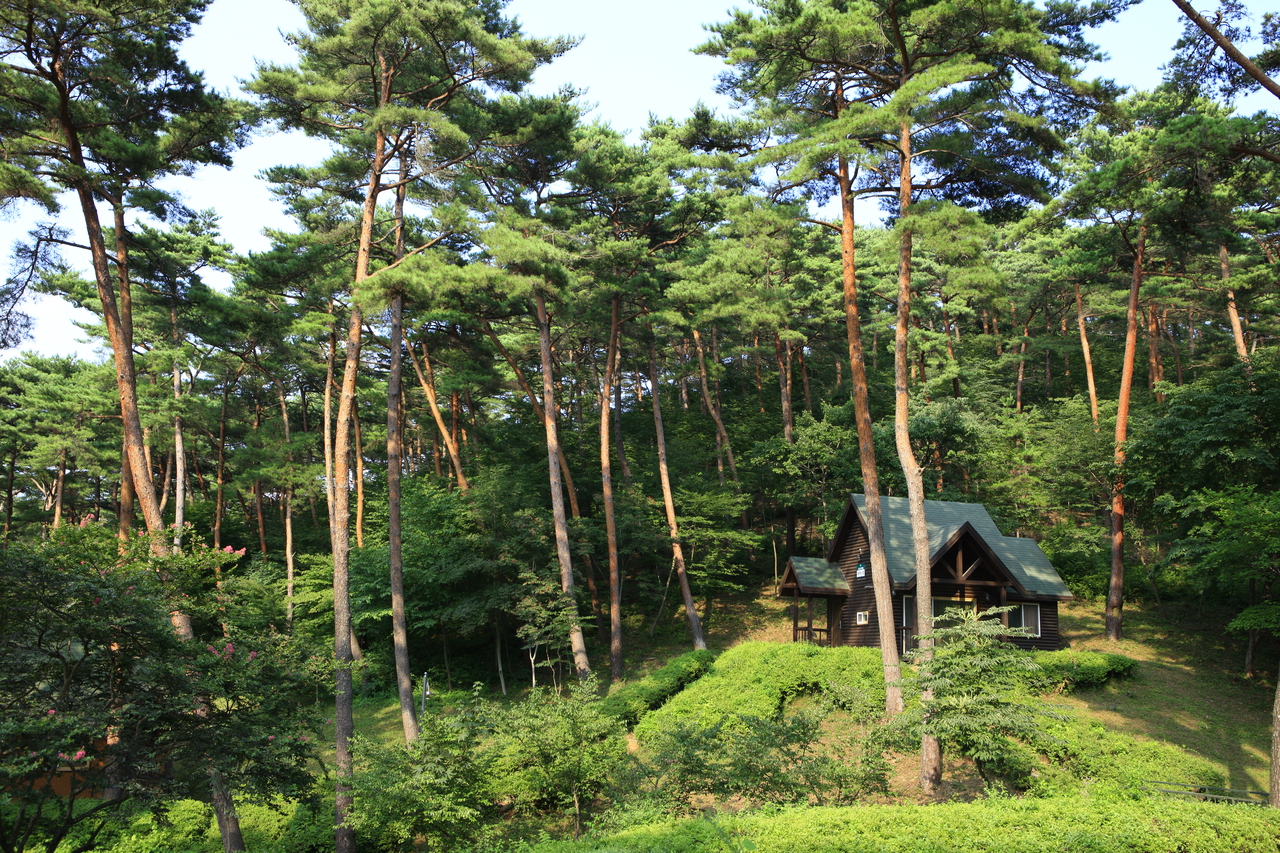 Anmyeondo Recreational Forest