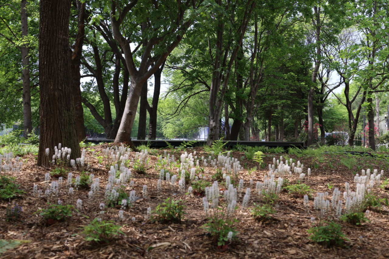 2026 Seoul International Garden Expo Sampyo Garden Experience Program