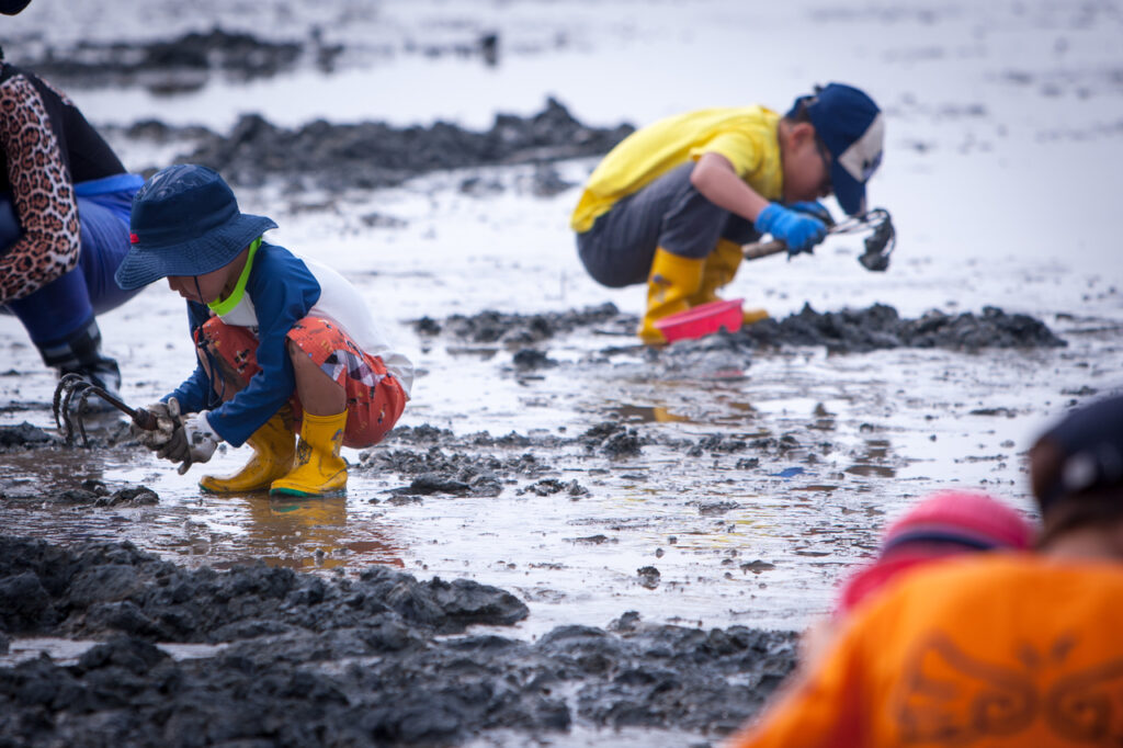 Korean Mudflat Experience: 2026 Clam Digging Guide