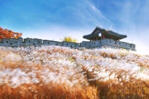 Beyond Castles: The Survival Strategy of Korean Fortresses