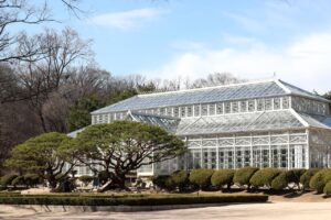 How Japan Systematically Destroyed Joseon Royal Palaces