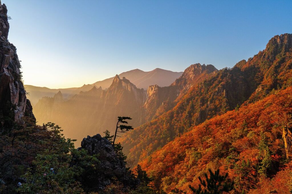Seoraksan National Park Autumn Foliage: Best Trails & Tips