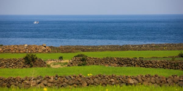 Jeju Travel - Where to Stay and Go