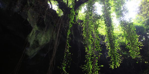 Manjanggul Lava Tube