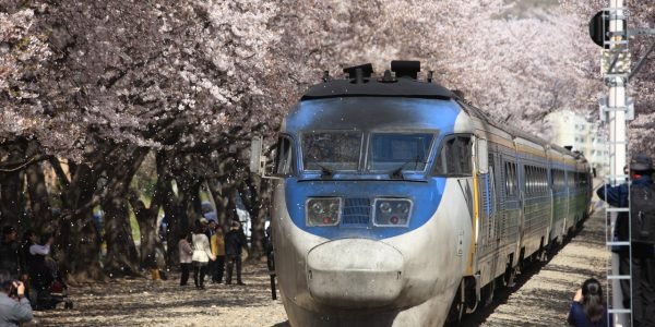 Korea Spring Festival Calendar 2026