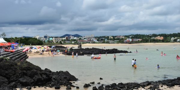 Jeju's Coastal Wonders: Olle 3, Art at Dumoak, Sincheon Sea Ranch & Haevichi Beach Retreat