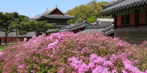 Changdeokgung Palace