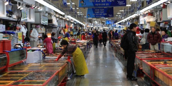 Busan's Vibrant Tapestry: Food, Film & Historic Trails