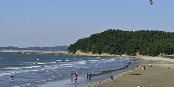 1870705_image2_1