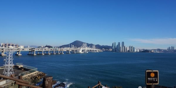 Busan: Nature's Edge, Cinematic Arts & Urban Luxury