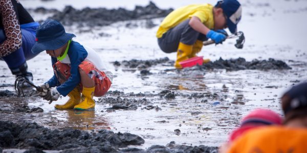 Korean Mudflat Experience: 2026 Clam Digging Guide