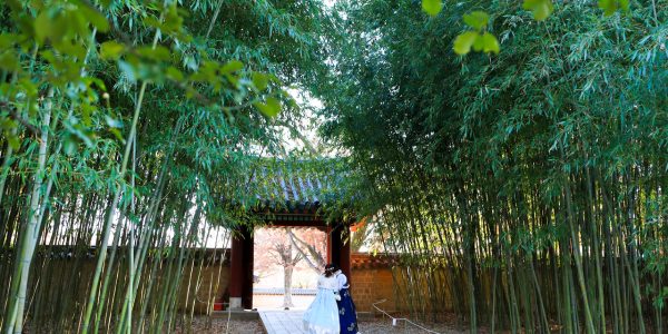 2026 Korean Regional Travel: Escape the Crowds