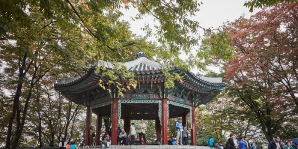 Namsan & Namdaemun: Seoul's Historic Views & Market Flavors