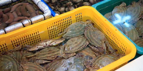 Korea’s Ganjang Gejang: Five Restaurants to Try