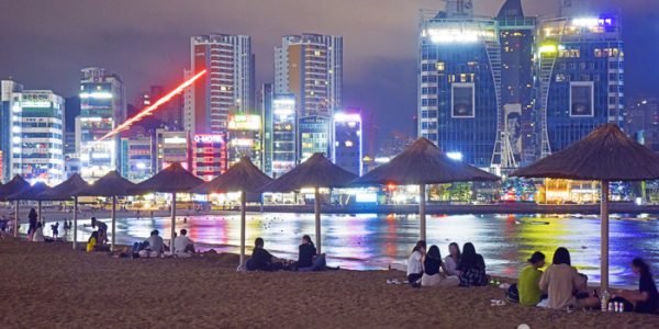 Busan's Coastal Splendor: Beaches, Camellia Trails & Moon Hill Vistas