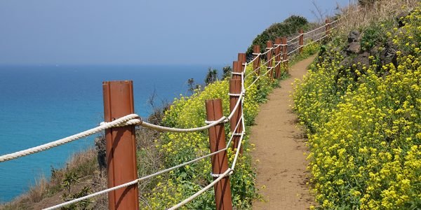 Jeju: Island Vistas, Heritage & Tranquil Shores