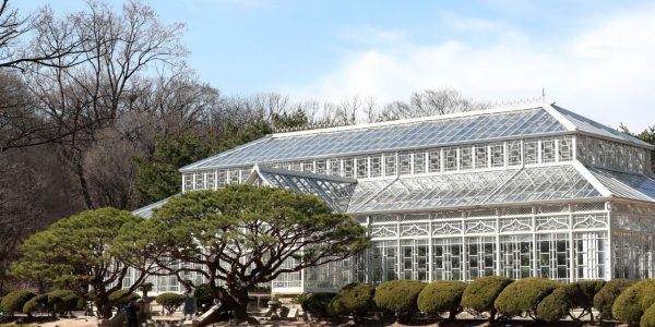 How Japan Systematically Destroyed Joseon Royal Palaces