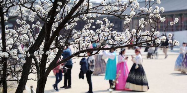 South Korea Travel Trends 2026: Best Spots & Experiences