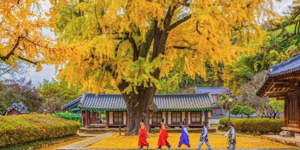 Sungkyunkwan & Hyanggyo: Understanding Korea’s Ancient Schools