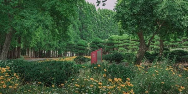 Iksan: Heritage, History, and Experiential Journeys