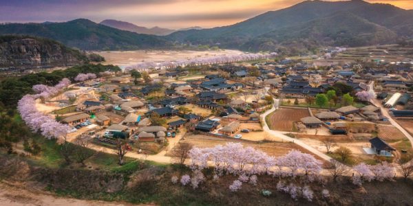 Andong Hahoe Folk Village: The True Soul of Joseon