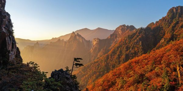 Seoraksan National Park Autumn Foliage: Best Trails & Tips