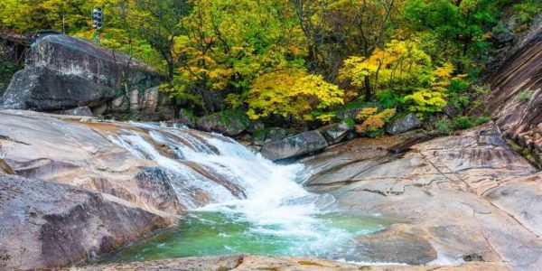 Why Koreans Escape to Mountain Valleys in Summer
