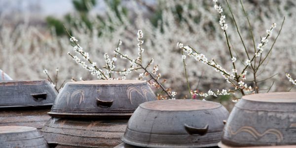 Onggi: The Science Behind Korea’s Traditional Breathing Pottery