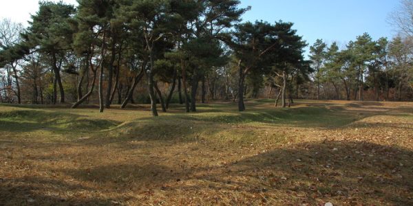 883219_image2_1