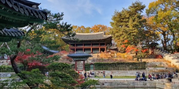 Changdeokgung Secret Garden Tour