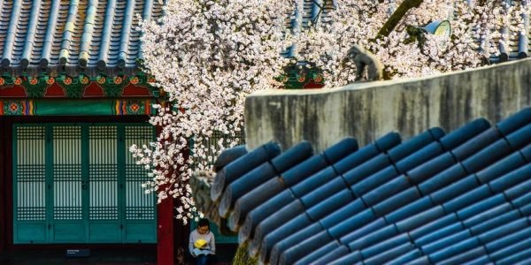 Changgyeonggung Palace