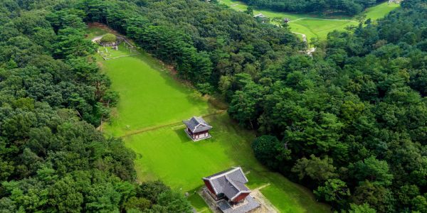 Exploring Donggureung: Korea's Largest Royal Tombs