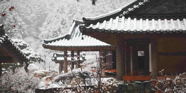 l_305dcbc05253f67120bf142149f0e05d0 (1)