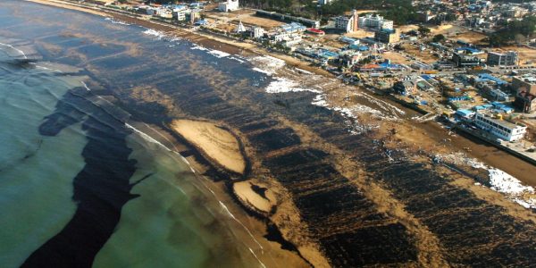2007 Taean Oil Spill