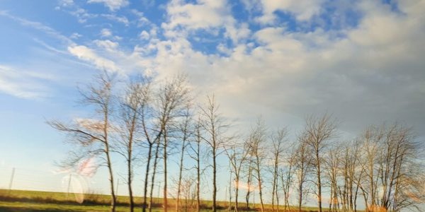 Korea Solo Trip: Why It’s the Best Destination for Me-Time